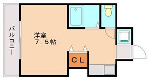 ステラ向野の物件間取画像